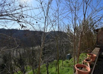 Giardino - Rustico via Camicia, Vigliano d'Asti - foto 37