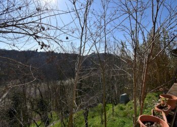 Giardino - Rustico via Camicia, Vigliano d'Asti - foto 38