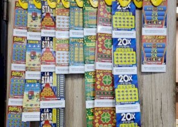 Altro - Bar - Tabacchi - Ricevitoria Grugliasco - foto 7