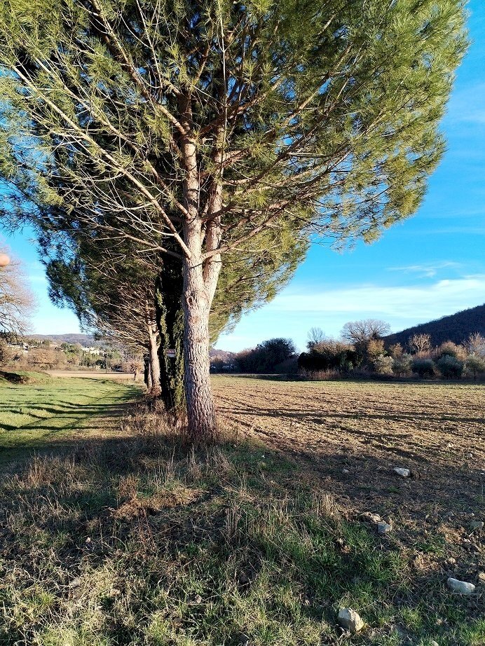 terreno - Terreno edificabile Via Tommaso Albinoni 9, Corciano - foto 3