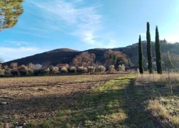 terreno - Terreno edificabile Via Tommaso Albinoni 9, Corciano - foto 4