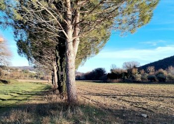 terreno - Terreno edificabile Via Tommaso Albinoni 9, Corciano - foto 3