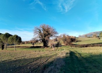 terreno - Terreno edificabile Via Tommaso Albinoni 9, Corciano - foto 11