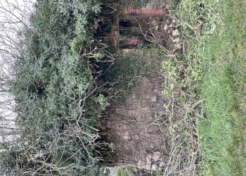 IMG_7228.jpg - Terreno edificabile Via Tommaso Albinoni 9, Corciano - foto 13