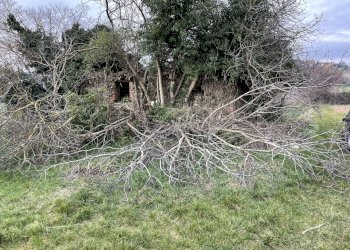 dettagli - Terreno edificabile Via Tommaso Albinoni 9, Corciano - foto 15