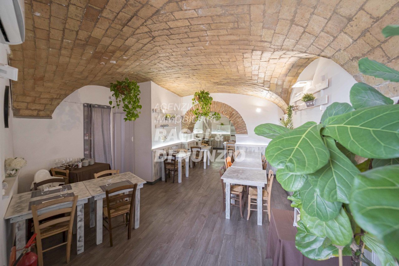 _DSC5402.jpg - Locale Commerciale Largo Augusto Panizza, Frascati - foto 3