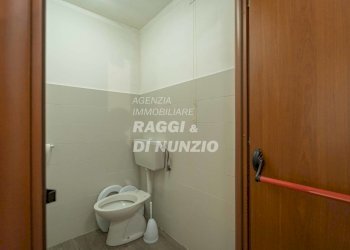 _DSC5445.jpg - Locale Commerciale Largo Augusto Panizza, Frascati - foto 20