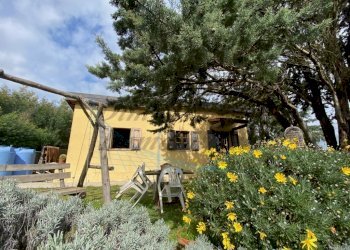 IMG_3387 (FILEminimizer).jpg - Villa Piazza Antonio Gramsci 7, Rosignano Marittimo - foto 5