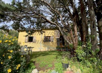 IMG_3388 (FILEminimizer).jpg - Villa Piazza Antonio Gramsci 7, Rosignano Marittimo - foto 6