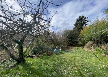 IMG_3402 (FILEminimizer).jpg - Villa Piazza Antonio Gramsci 7, Rosignano Marittimo - foto 20