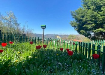 IMG-20240414-WA0011.jpg - Villa Via delle Sorgenti 28, Tiglieto - foto 5