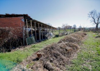 Casa semi indipendente Via trento, Bosconero - foto 31