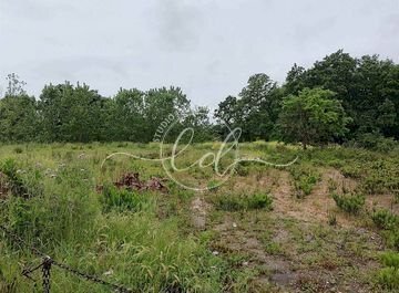 506087539.jpg - Terreno agricolo Seravezza - foto 1