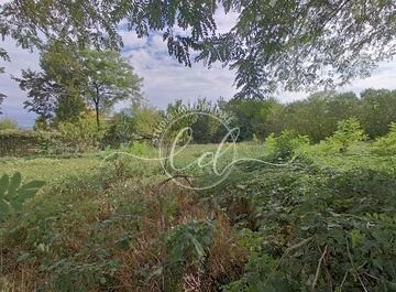 628872294.jpg - Terreno agricolo Seravezza - foto 2