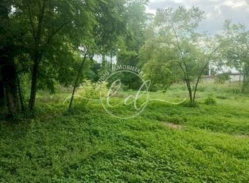 716089878.jpg - Terreno agricolo Seravezza - foto 3