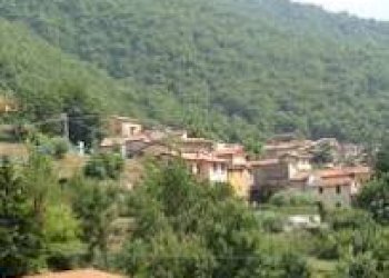 images.jpeg - Terreno agricolo Seravezza - foto 4