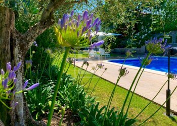 Villa Via Tommaso dal Molin, Desenzano del Garda - foto 12