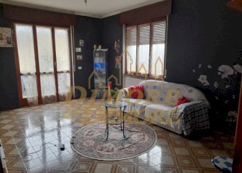 20240302_103626.jpg - Villa Cambiasca - photo 4