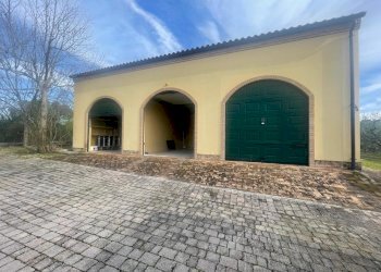 IMG-20240309-WA0061.jpg - Casale morrovalle, Morrovalle - foto 12