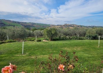 20240308_150729.jpg - Casale morrovalle, Morrovalle - foto 15