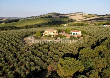 xxl (1).jpg - Casale morrovalle, Morrovalle - foto 20