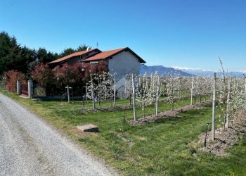 Independent house Via Nitte, Revello - photo 14