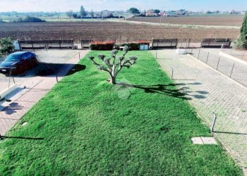 Villa Via Delle Cascine, Rimini - foto 15