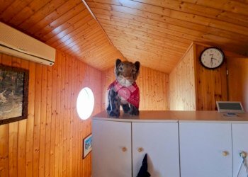 Villa a Schiera Zona Orsoleto, Rimini - foto 9