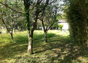 Terreno edificabile Silea - foto 8