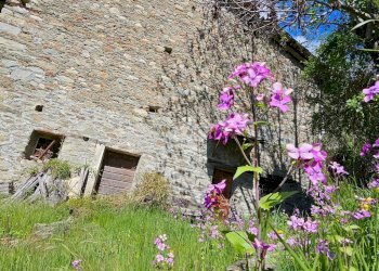 Rustico Frazione Tramail, Aosta - foto 32