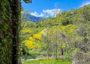 Rustico Frazione Tramail, Aosta - foto 24