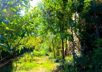 Casa indipendente regione crou, Aosta - foto 31