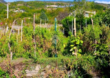 Casa indipendente regione crou, Aosta - foto 35
