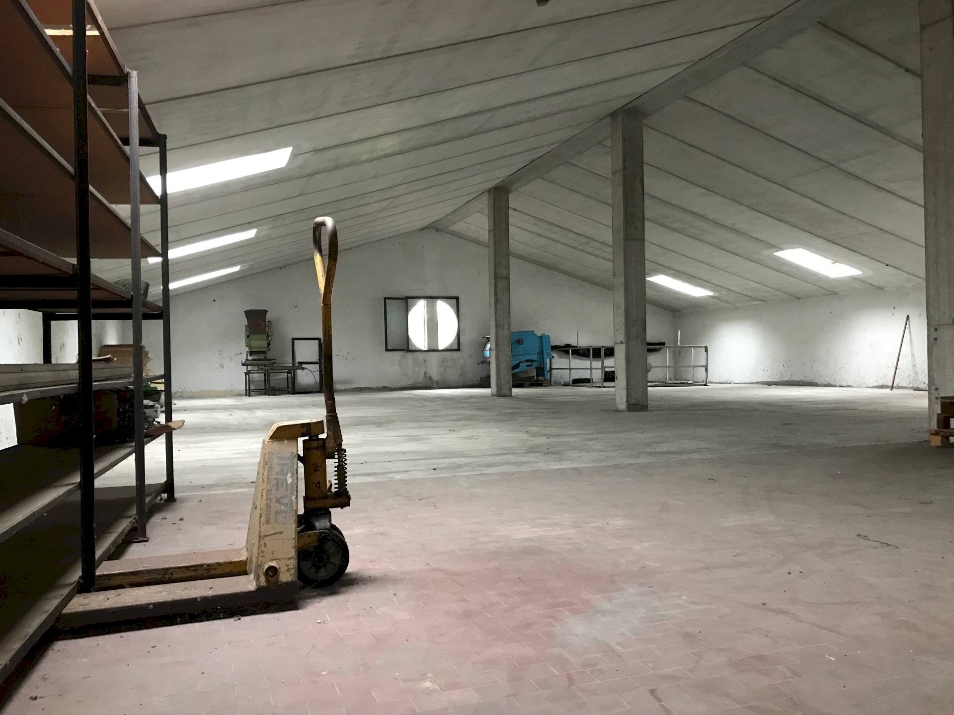 Capannone Treviso - foto 1