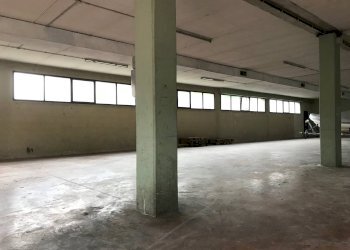 Capannone Treviso - foto 3