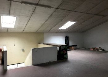 Capannone Treviso - foto 7