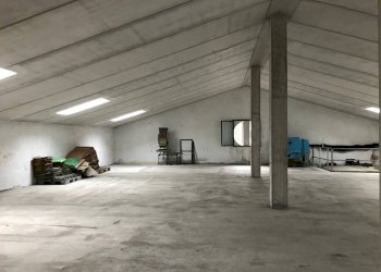 Capannone Treviso - foto 8