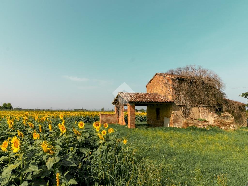 Rustico Via Romolo Zanzi, Ravenna (zona San Pietro in Vincoli) - foto 2