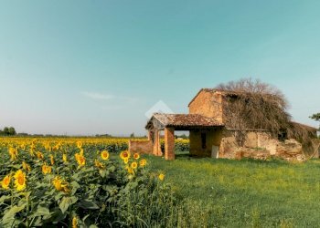 Rustic Via Romolo Zanzi, Ravenna (neighborhood San Pietro in Vincoli) - photo 2