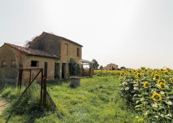 Rustic Via Romolo Zanzi, Ravenna (neighborhood San Pietro in Vincoli) - photo 8