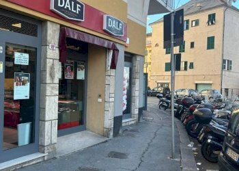 Zona - Shop largo San Francesco da Paola, Genova - photo 6