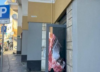 Zona - Shop largo San Francesco da Paola, Genova - photo 7