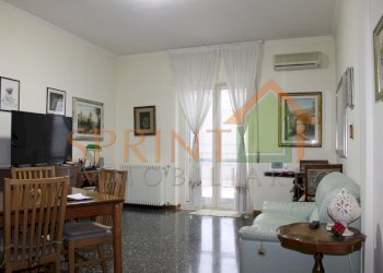 IMG_2941.JPG - Bilocale Monopoli - foto 2