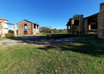 Azienda agricola Gazzola - foto 3