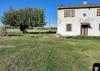 Azienda agricola Gazzola - foto 11