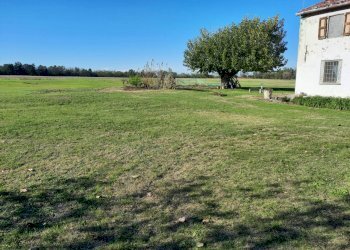 Azienda agricola Gazzola - foto 12