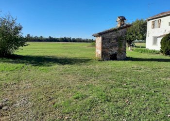 Azienda agricola Gazzola - foto 13