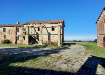 Azienda agricola Gazzola - foto 16