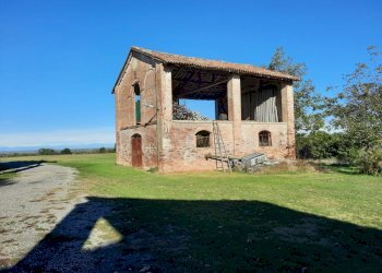 Azienda agricola Gazzola - foto 5