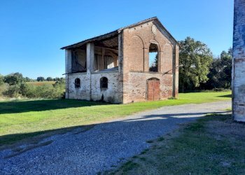 Azienda agricola Gazzola - foto 4